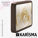 BACS DE LAVAGE -  INFINITY Accoudoir image Karisma